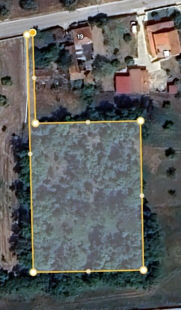 Terreno com sobreiros