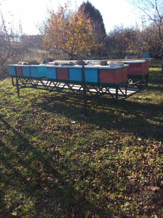 Модуль для бджіл