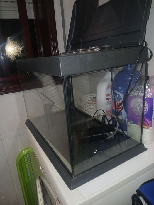 Aquário para peixes