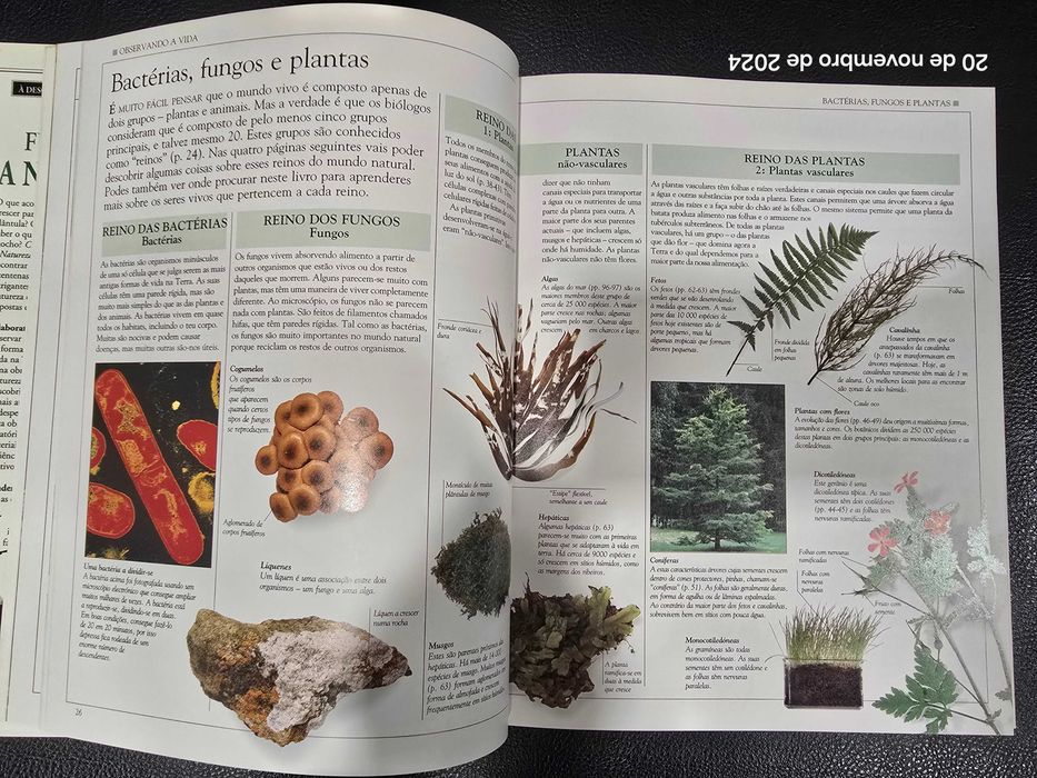 Livro - Como Funciona a Natureza - Novo