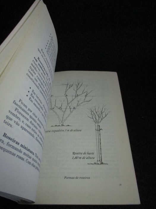 Livro Guia Prático das Rosas e Roseiras Jacqueline Murray