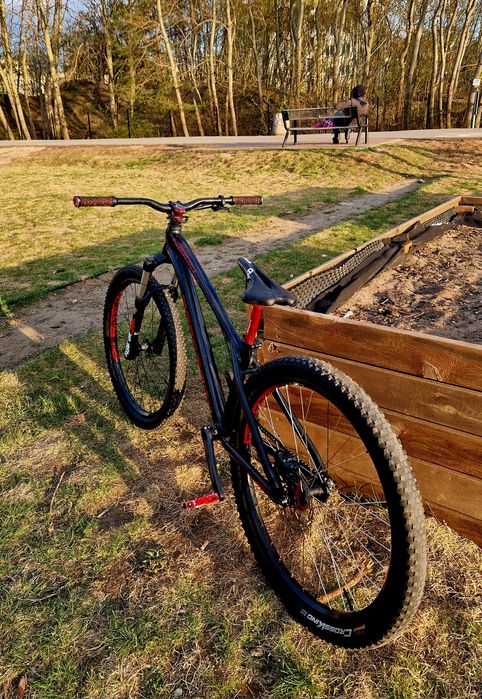 Dartmoor Gamer  | 10.9kg | DOINWESTOWANY | Dirt Jump