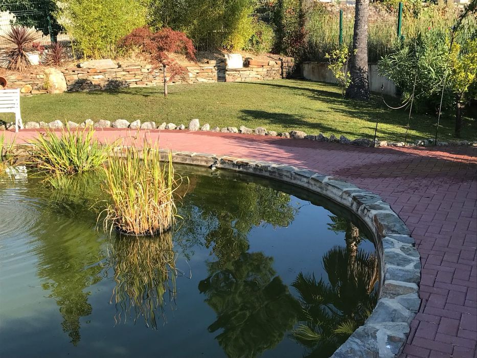 Manutenção de Espaços Verdes  Coja/Arganil