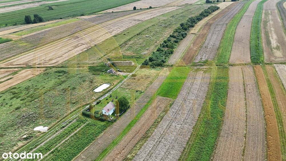 7200 m² | 1800 m² budowlane | Wilcza | Potencjał inwestycyjny