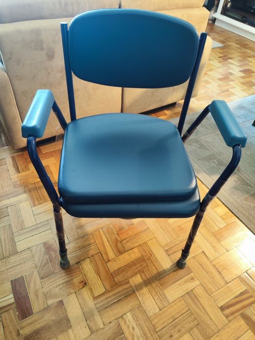 Cadeira sanitaria e andarilho