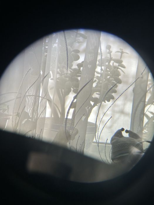 Levenhuk Nelson 7x50 бінокль