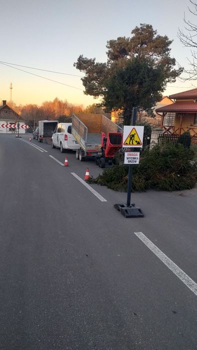Usługi Rębakiem Wycinka drzew i Krzewów