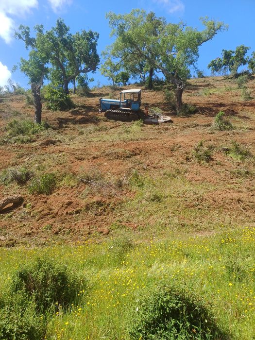 Limpeza de terrenos com corta-mato