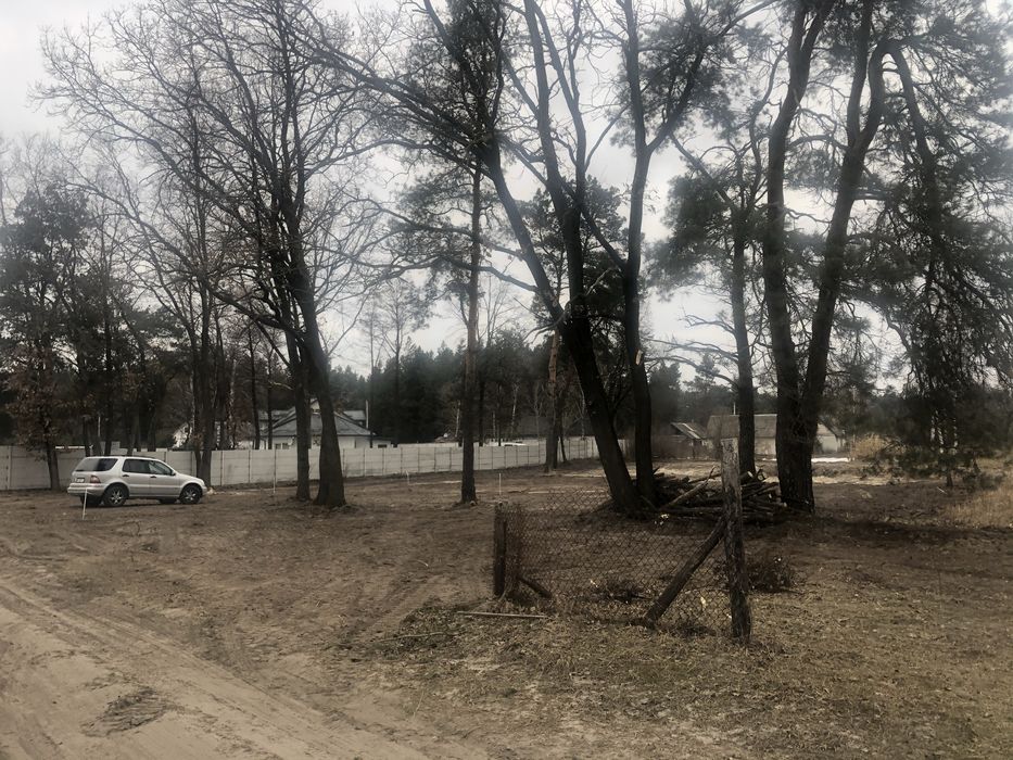 Ділянка під будівництво в с. Бірки під лісом (обмін на авто)