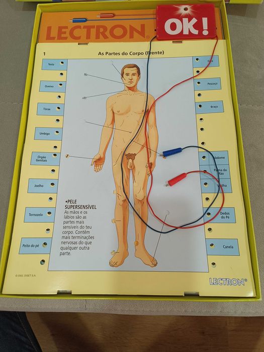 Conhece o teu Corpo +190 perguntas 7-12 anos