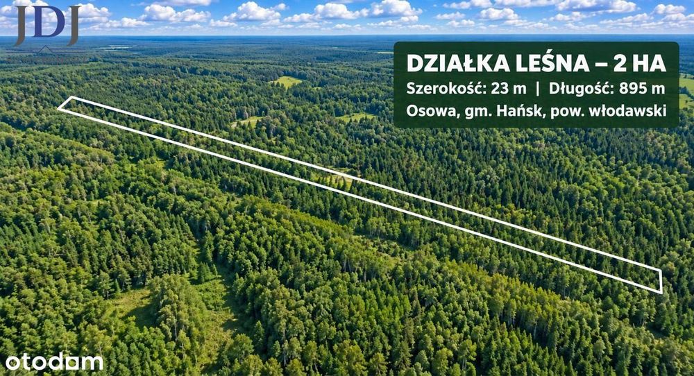 Działka leśna 2 ha, Osowa gm. Hańsk. Włodawa