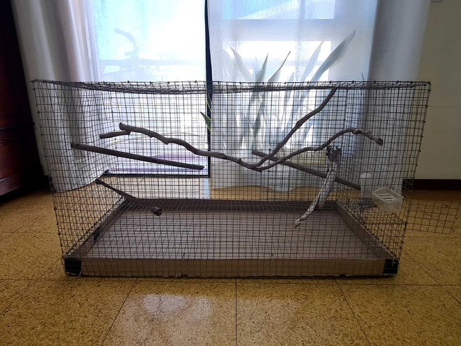 Gaiola Média/Grande para Aves + Acessórios e Ninho Incluídos