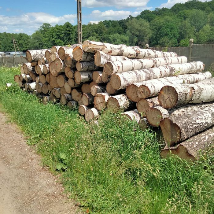 Sprzedaż drewna opałowego