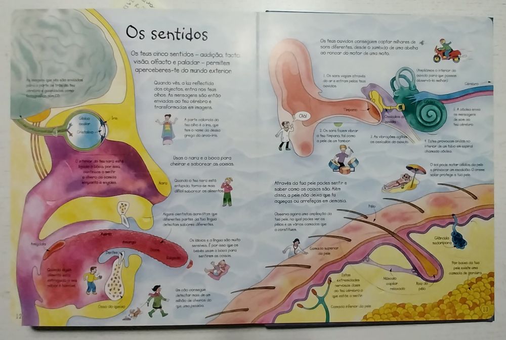 Espreita o teu corpo