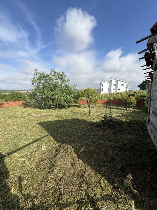 Limpeza de Terrenos | Erva, Mato e Silvas | Coimbra