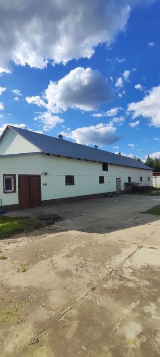 Gospodarstwo siedliskowe z dużą działką – Radzie, gm. Wydminy