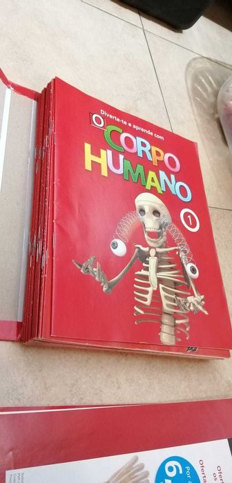 Esqueleto Coleção Corpo Humano National Geographic