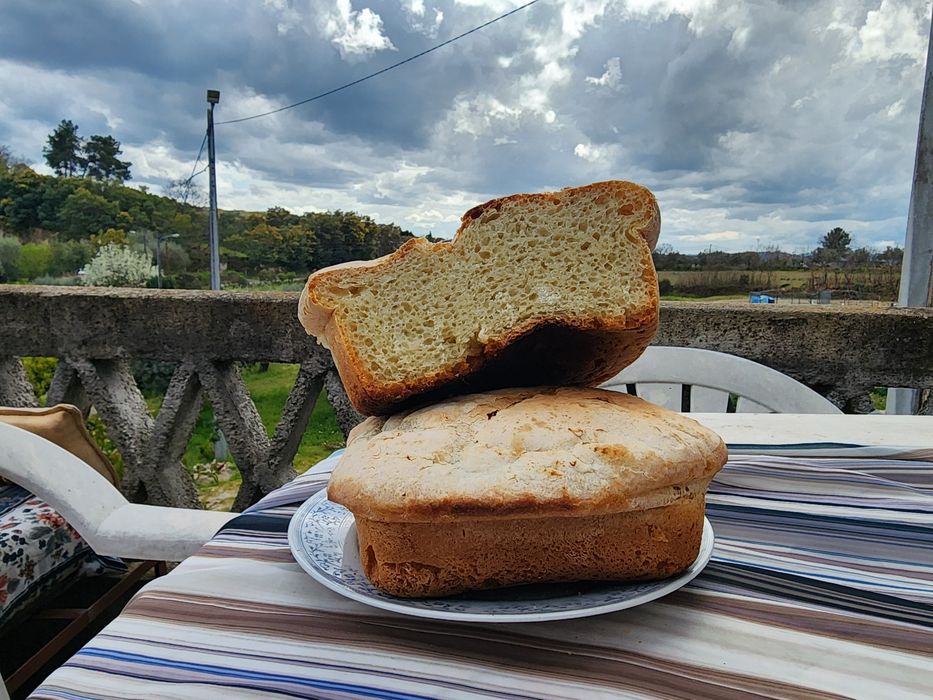 Pão faraónico egípcio natural e delicioso