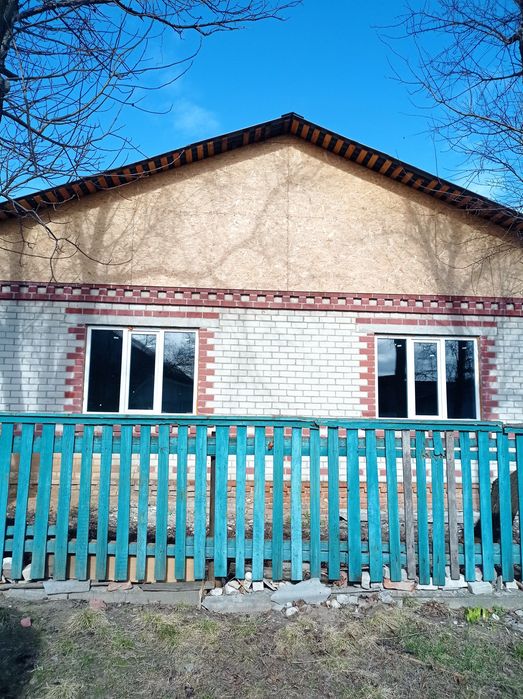 House in Shestovytsya, Chernihivskyy rayon - View 4
