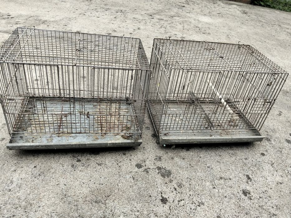 Várias Gaiolas para aves e ninhos caturras