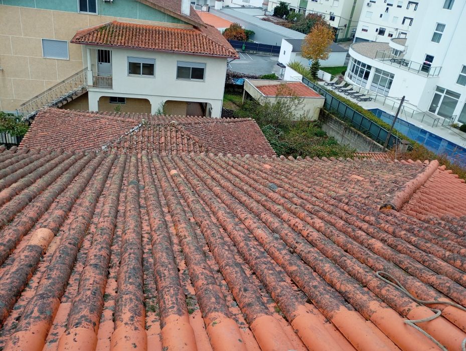 Limpeza de terrenos e florestas/Trabalhos em construção civil