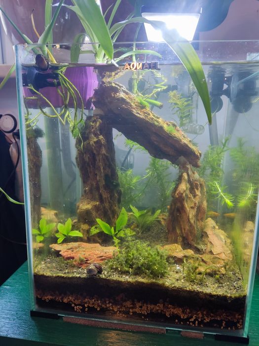 Akwarium Aquael 30l stabilne