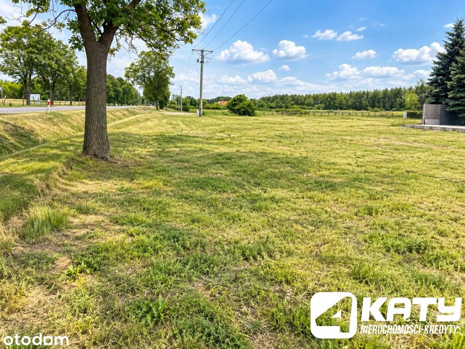 Działka Usługowa | 1 795 M² | Wilków | Dk12 | Szybki Dostęp Do S5 - Widok 2