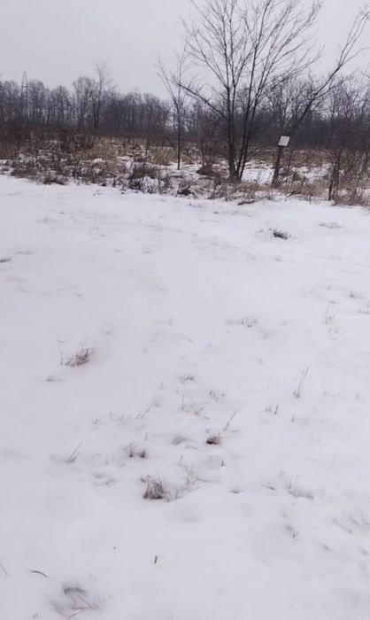 Продам земельну ділянку в Малій Данилівці ПЧ-2