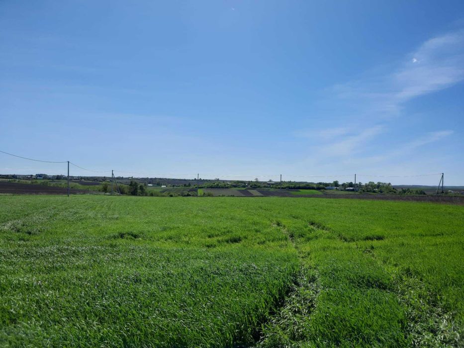 Продам земельну ділянку у В.Омеляні