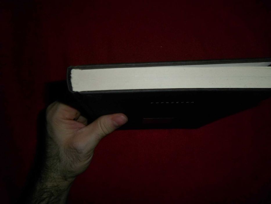 Maria Poprzęcka - Inne obrazy : oko, widzenie, sztuka : od Albertiego