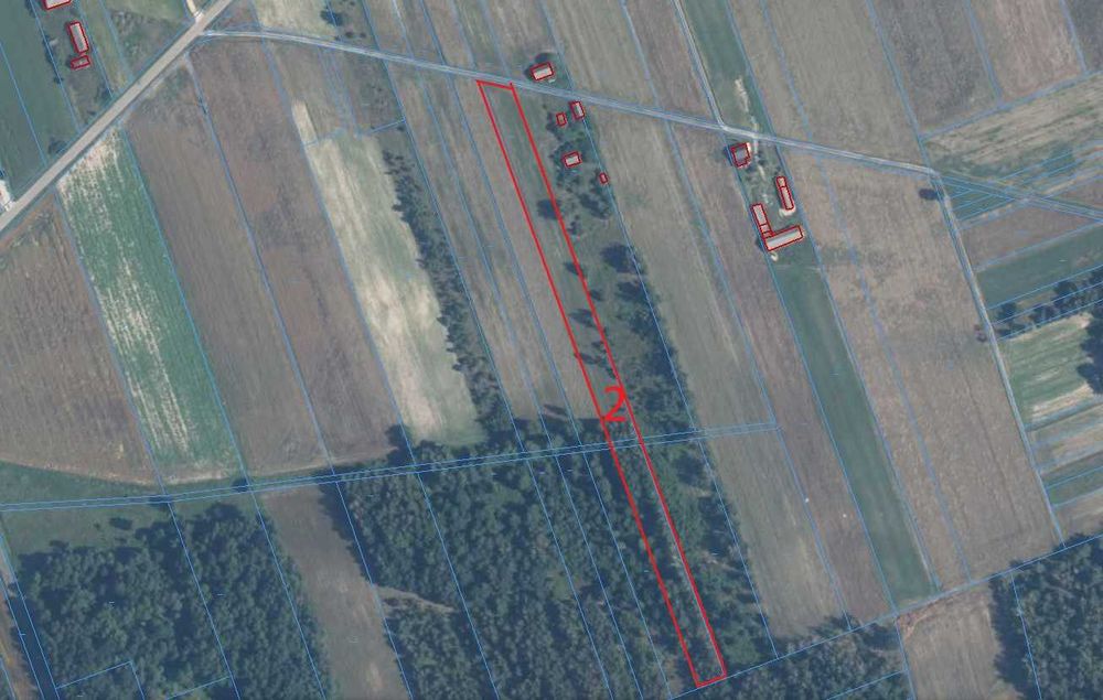 Działka z WZ i lasem (70 arów)- Sitno, gmina Międzyrzec Podlaski