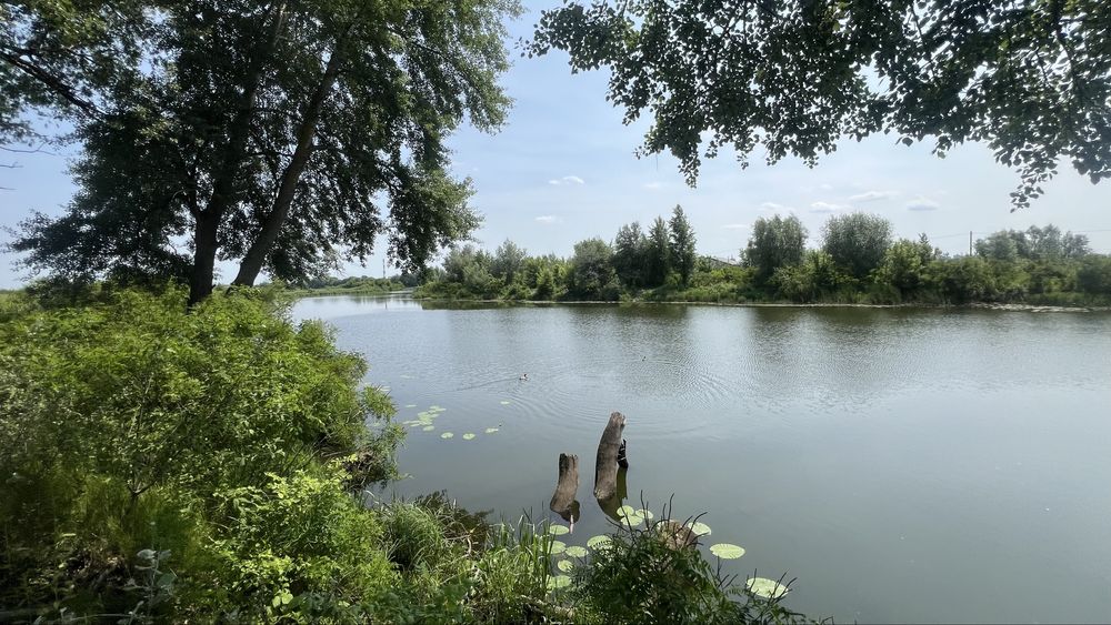 Продаж ділянки  від 10 га , 1-ша лінія до води с. Погреби