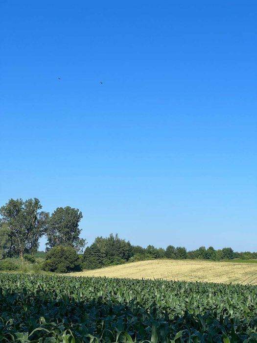 ПРОДАЖ ділянки 1,73 га | ПЕРША ЛІНІЯ траси М10 | 6 км від Львова - Вид 3