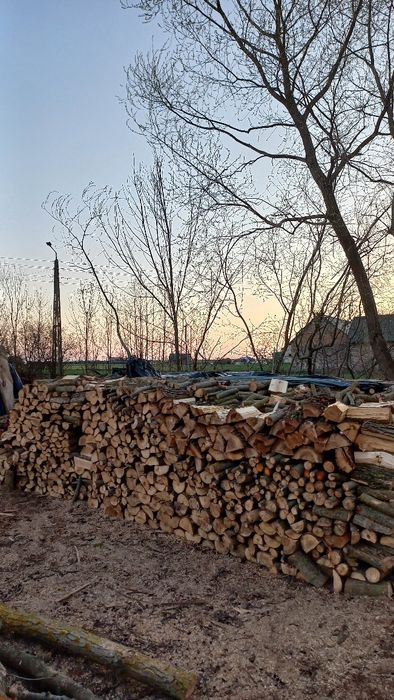 Drewno opałowe olcha wierzba