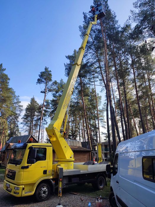 Wycinka Drzew Usługi Zwyżką Jarosław,Radawa,Radymno,Sieniawa