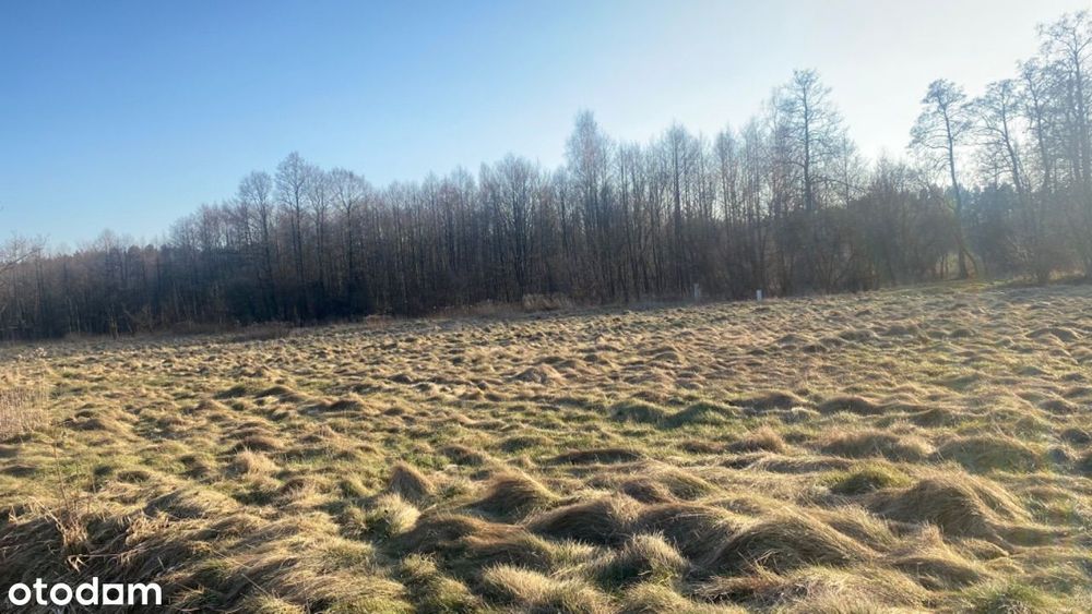 Urokliwa działka we Wsi Dobrzyniec w zakolu rzeki - Widok 4