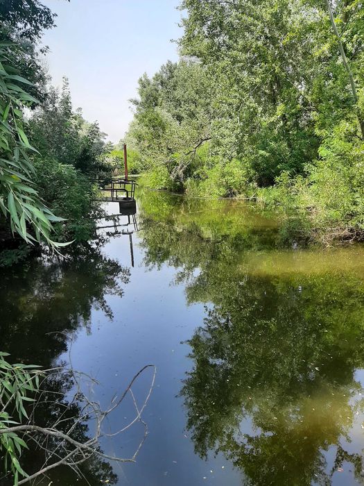 Сдам 2-3й этажи в доме в Соловьиной роще возле воды. Без мебели