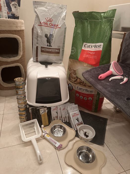 Transporter dla kota psa zwierzat