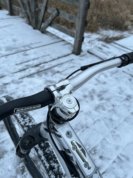 dartmoor shine 2023 custom!!