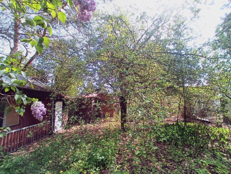 Odstąpię prawo do działki ROD - Widok 3