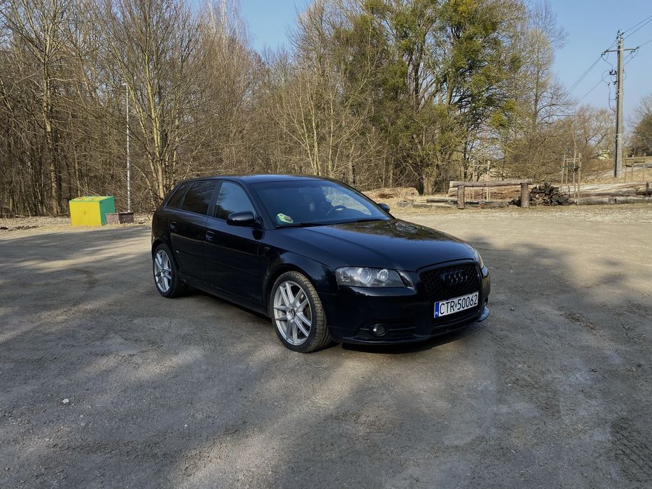 Audi A3 8P 1.9 TDI S-line Sportback - 147 koni