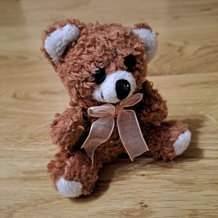 Pluszowy Mały Miś Przytulanka 9 cm