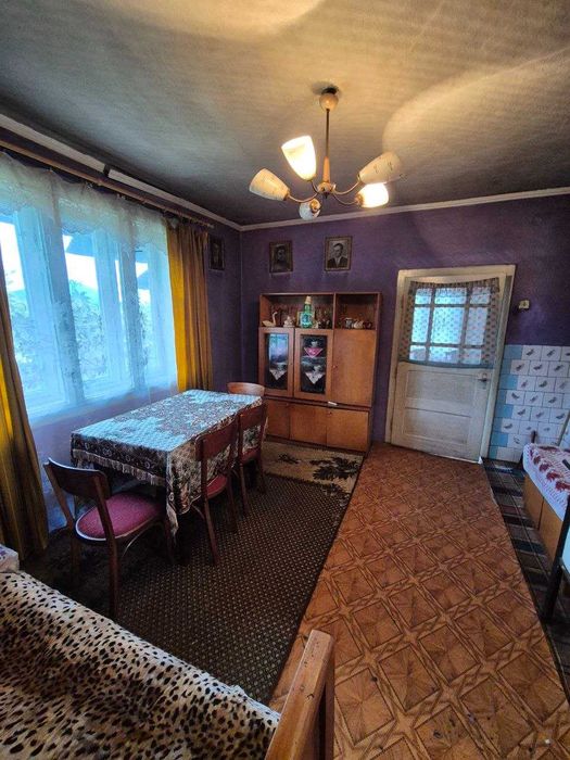 Продаж житлового будинку на ділянці 42 сотки в с. Бедевля