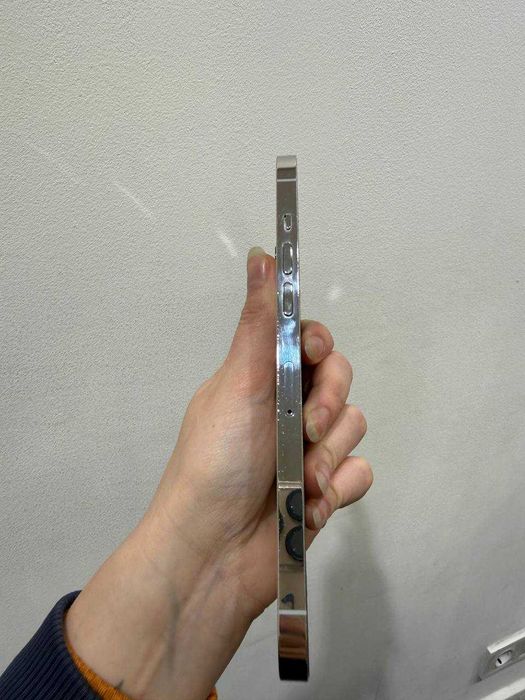 iPhone 12 Pro Max 256 Silver 100%