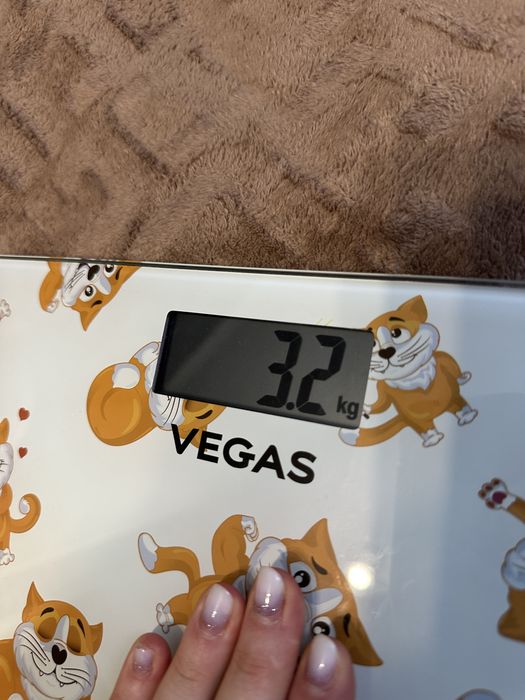 Ваги підлогові VEGAS VFS-3402FS