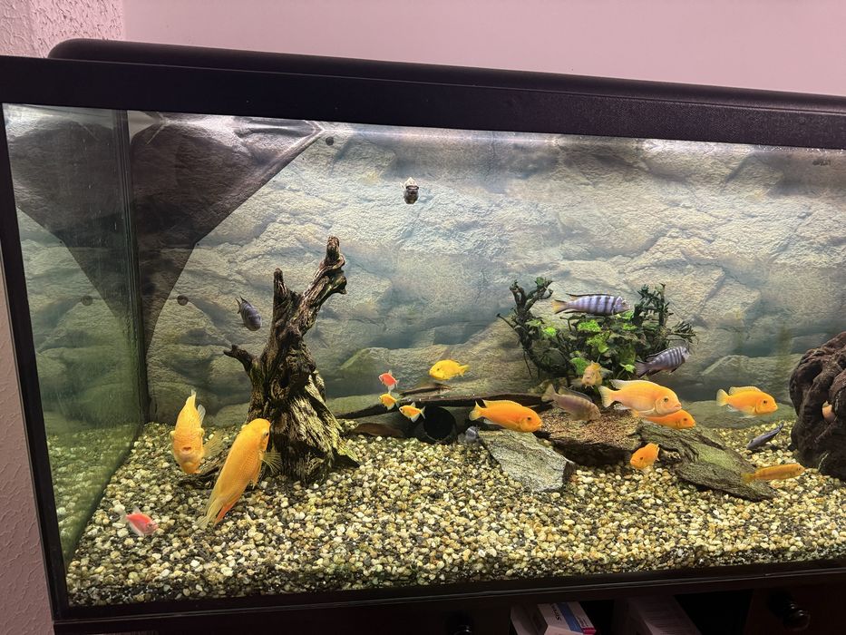 Akwarium 450L  cały zestaw