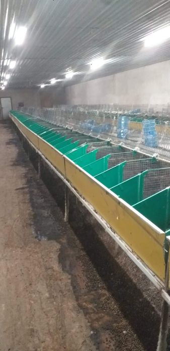 Klatki dla królików Meneghin