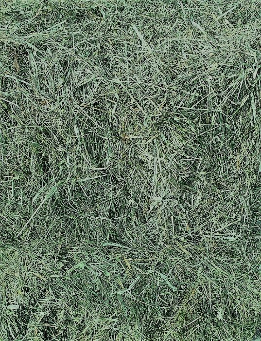 Sprzedam sianko  łąkowe z  koniczyną  z Doliny Liwca  paka ok. 8-10 kg