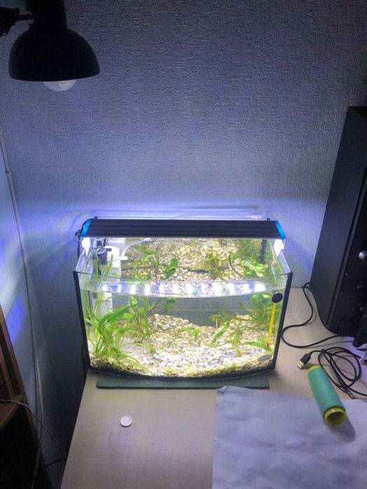 Продам акваріуми прямокутні 24-125л за доступними цінами