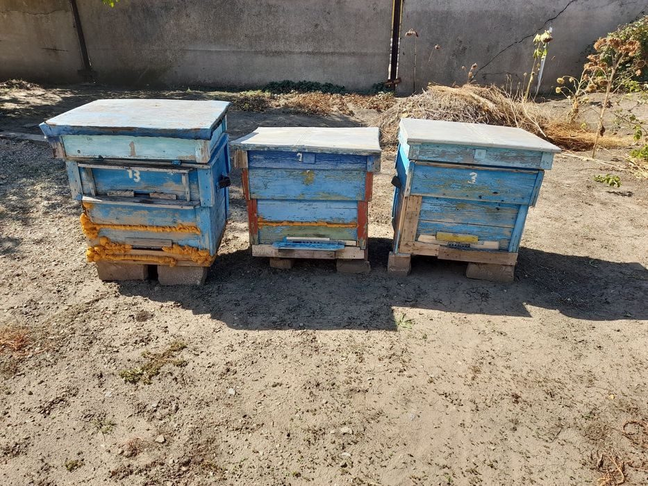 Продам улики для пчёл